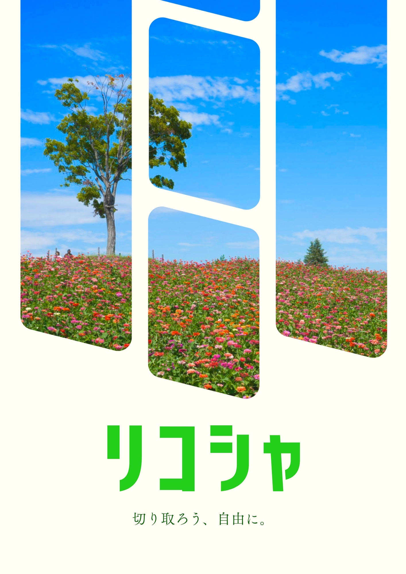 早稲田大学リコシャ写真部のビラ