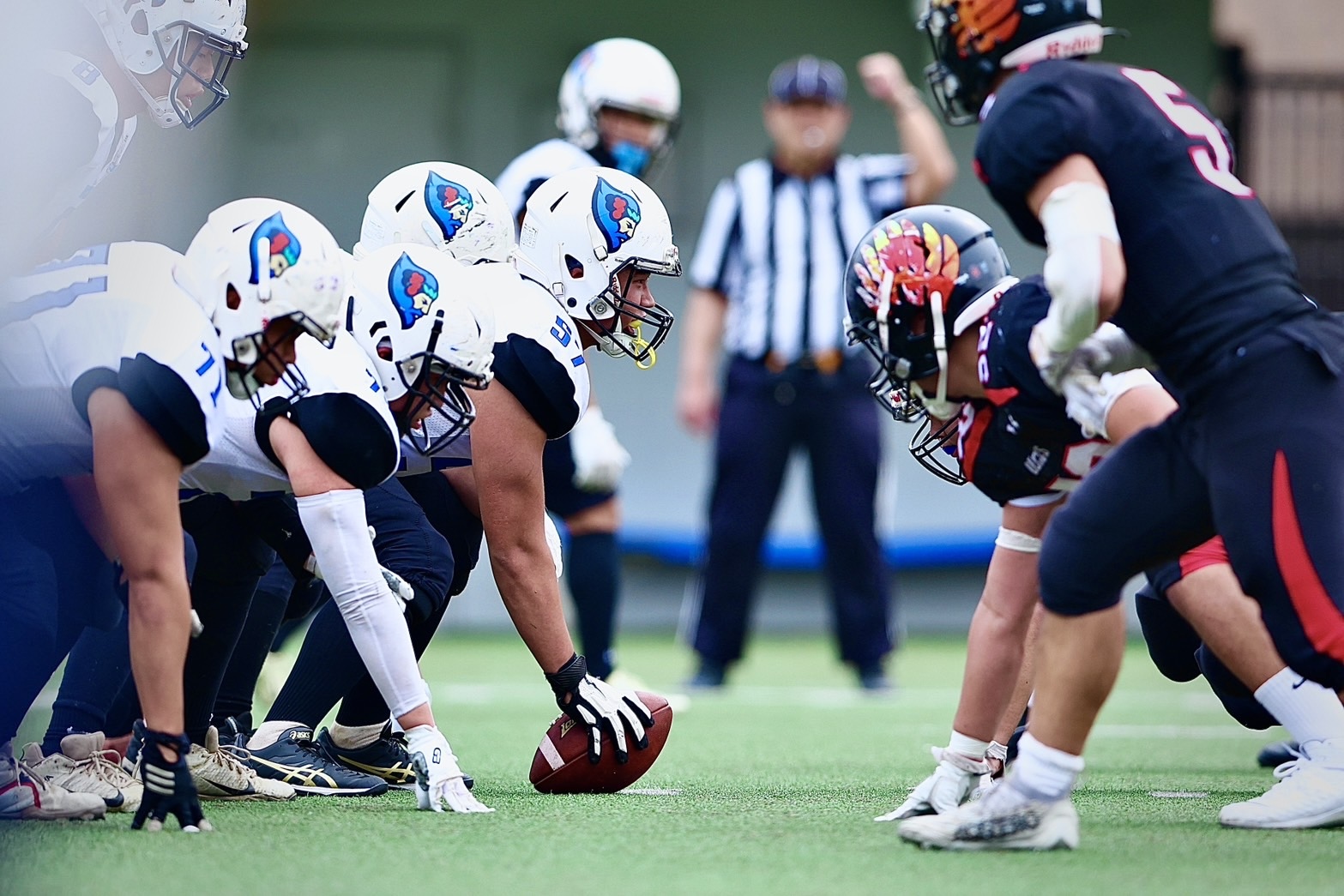 理工アメリカンフットボール部バッカスの画像